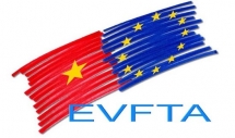 european parliament ratifies eu vietnam trade pact
