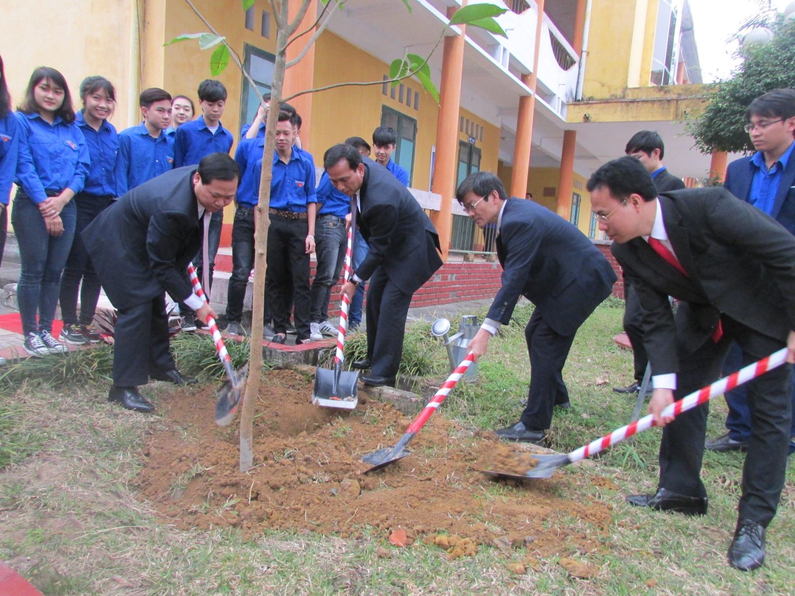 hai duong youth join tree planting festival