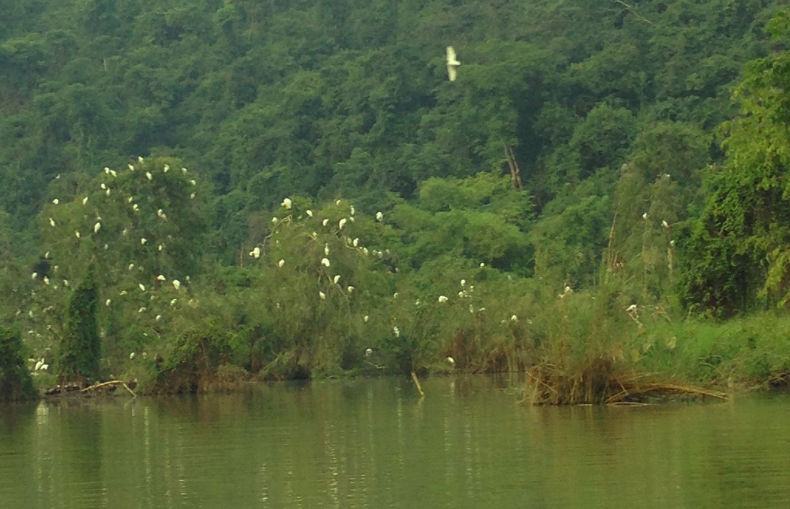 Meditation getaway in Thung Nham (Ninh Binh)