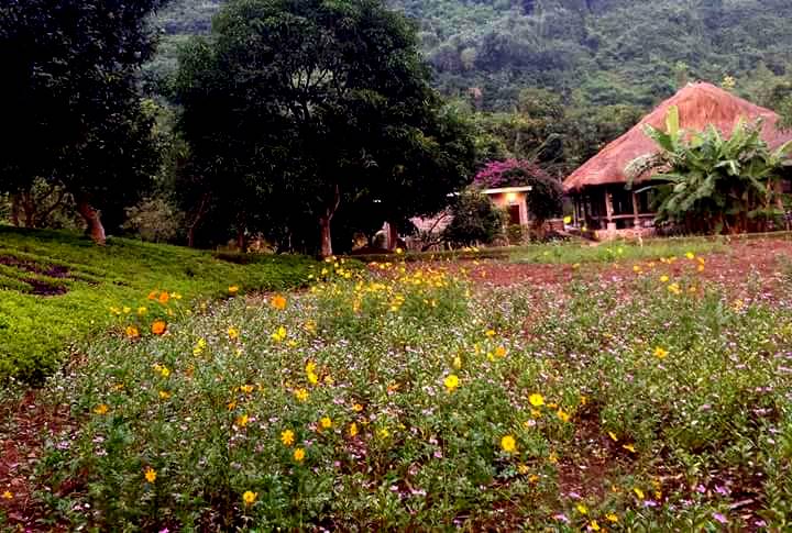 Meditation getaway in Thung Nham (Ninh Binh)