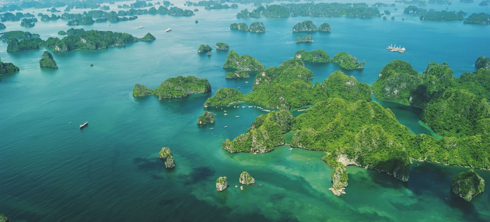 Kong, the unlikely tourism ambassador of Vietnam