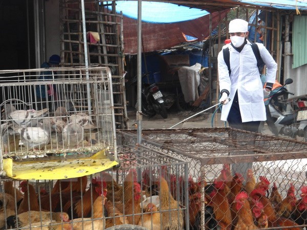 Quang Ninh strengthens border inspection given China’s H7N9 outbreak