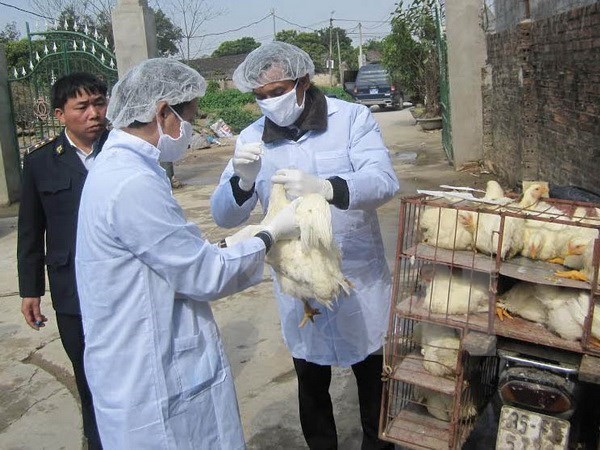Border provinces intensifies cross-border A/H7N9 avian flu prevention