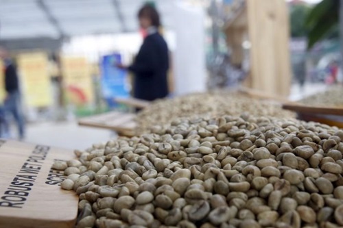 asia coffee vietnam market dull indonesian exports fall further