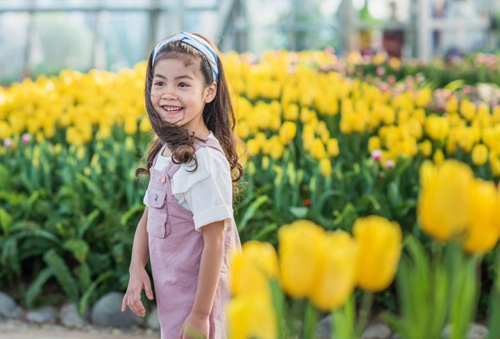 largest tulip festival to open in vinpearl nha trang