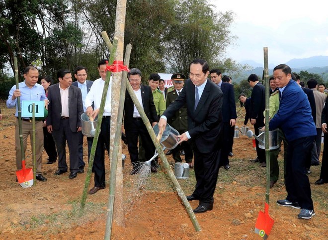 President launches New Year tree planting festival