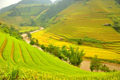 Breathtaking terraced rice fields of Mu Cang Chai