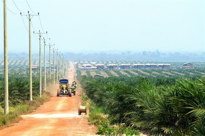 Vietnam invests in 128 projects in Cambodia