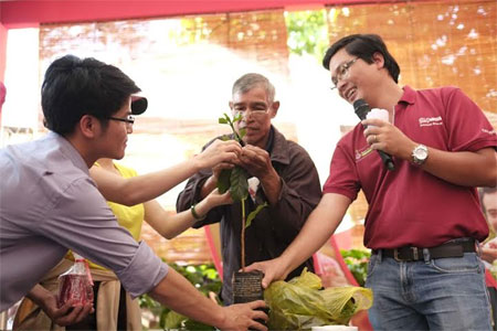 farmers in central highlands receive 4 million coffee seedlings