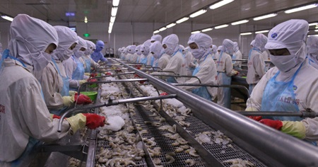 vietnams seafood export to us drop sharply by 37 per cent to around usd90 million