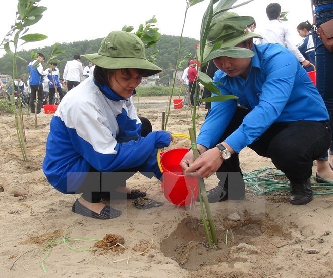 usaid programme helps protect environment in nam dinh