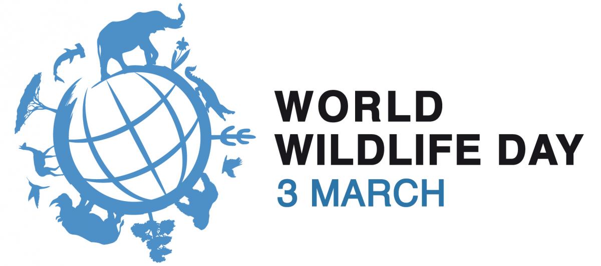 World Wildlife Day encourages Vietnamese youth to protect wildlife