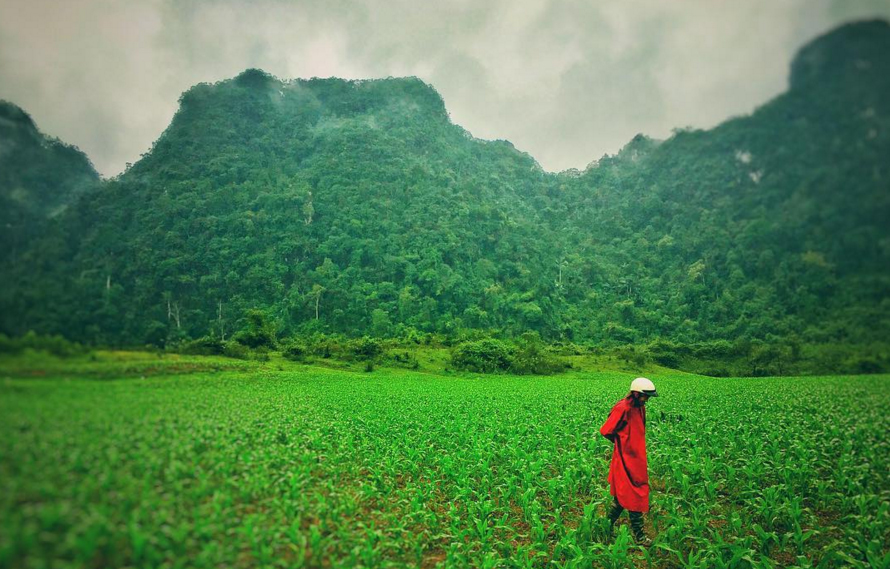 Vietnam was the perfect location for Kong: Skull Island