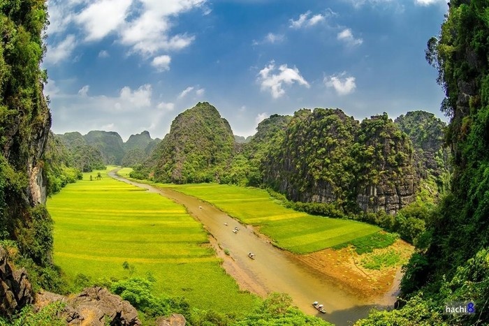 Vietnam was the perfect location for Kong: Skull Island