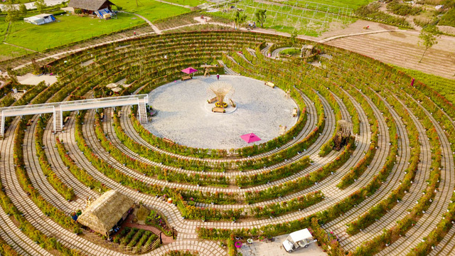 lost in the giant flower maze in hanoi