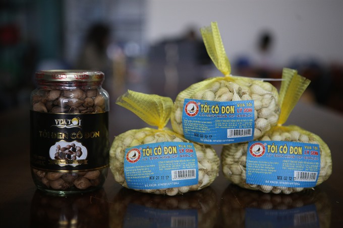 Lý Sơn Island garlic brand violated by fraudsters
