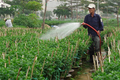 six communes in da nang city realize program on building new style rural areas