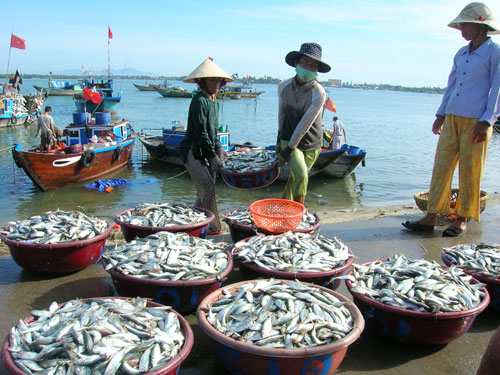 japanese seafood firms seek cooperation with vietnam