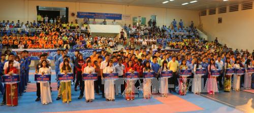 national strong vovinam clubs 2016 tour opens in an giang province