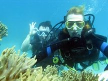 Undersea walking tour launched in Cu Lao Cham