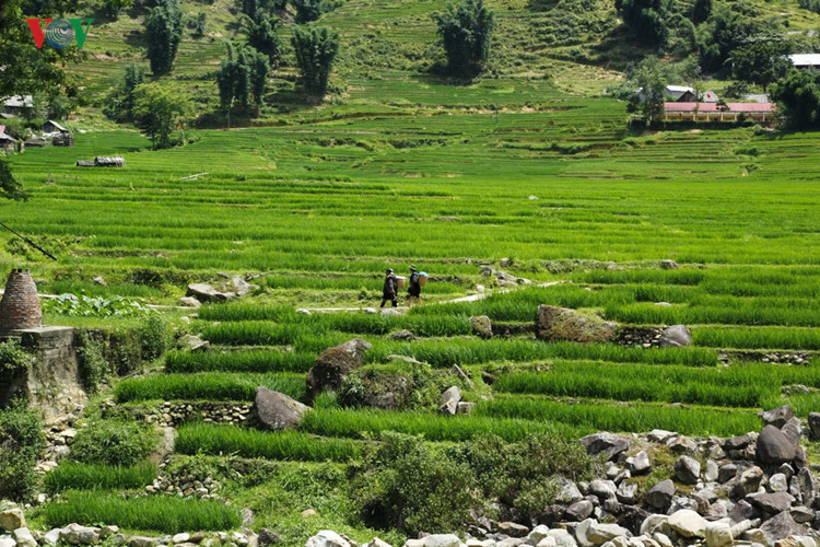 Dramatic images of Sapa and daily life of indigenous people