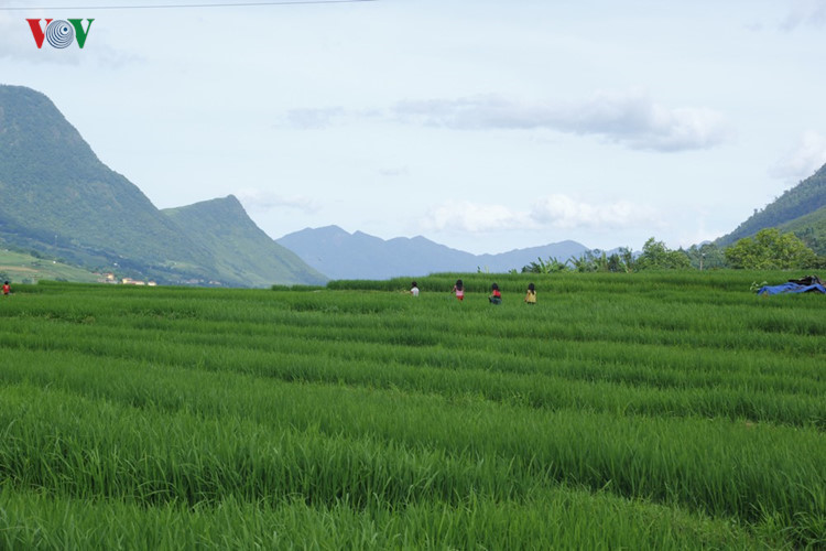 Dramatic images of Sapa and daily life of indigenous people