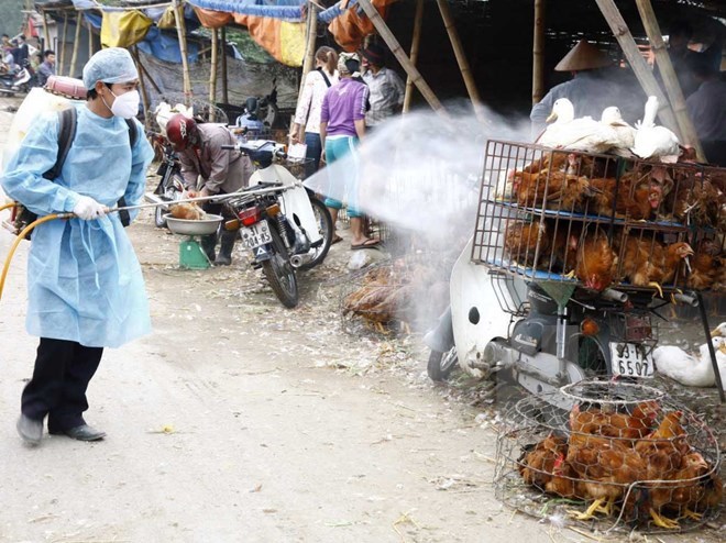 Ministry launches national bird flu control programme