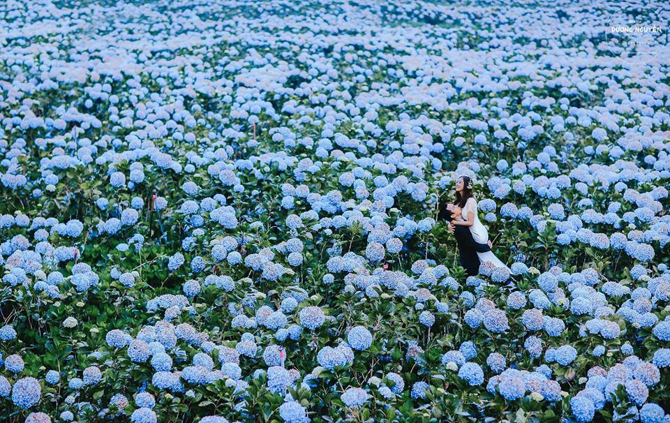 CNN: 30 of Vietnam’s most beautiful places