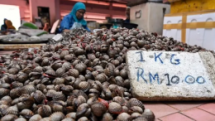 risk of heavy metal poisoning from eating shellfish from straits of malacca malaysia scientists