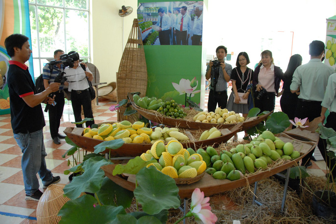 First Vietnamese mango export to the US