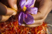 saffron benefits recipes to try