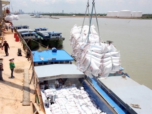 Rice exports to Africa shows signs of recovery
