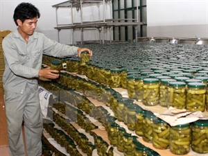 Huge opportunities for Vietnam farm produce to penetrate RoK