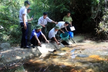 wildlife released into bai tu long national park