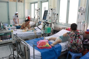 heat wave sends children to hospital in da nang