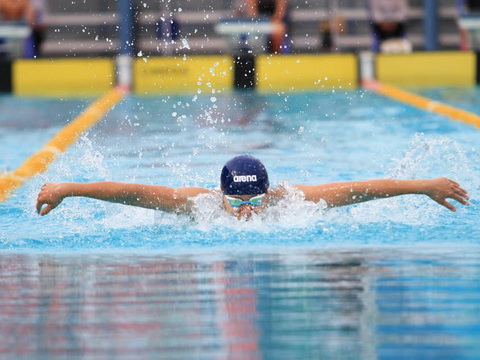 ho chi minh city hosts national swimming age group junior tour