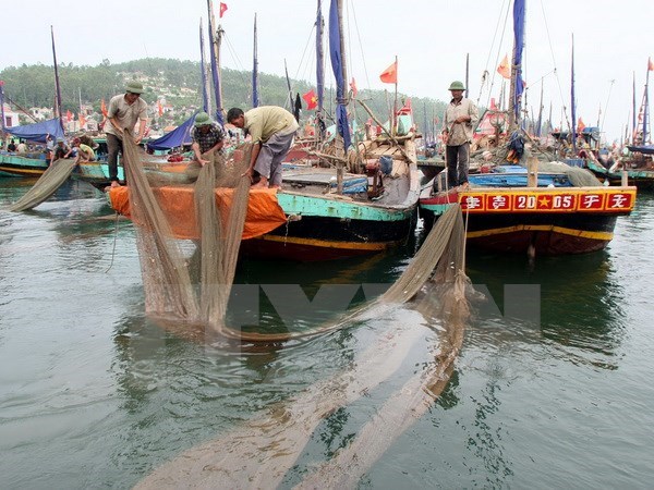 China’s fishing ban in Vietnam’s waters is valueless: MARD
