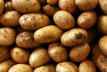 Improving competitiveness of Vietnamese potato