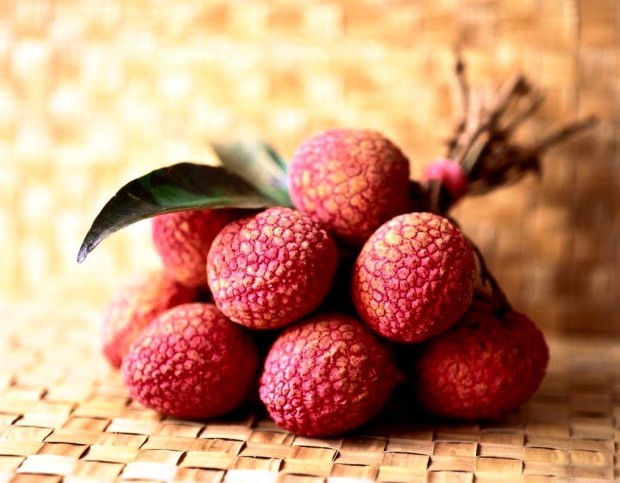 first ever thanh ha lychee festival in late may