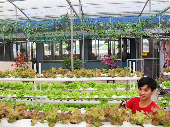 Harvesting the potential of the organic cafe | Vietnam Times