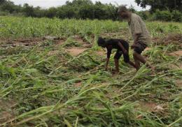 vietnam sends two tonnes of food to zimbabwe cyclone victims