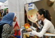 vietnam egypt eye usd 1 billion in bilateral trade turnover