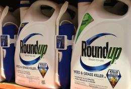 california jury hits bayer with 2 billion award in roundup cancer trial