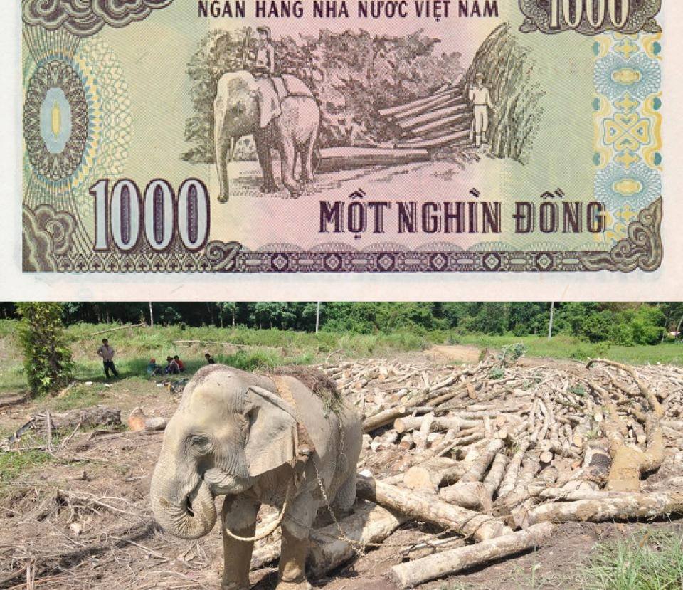 Famous Vietnamese attractions described on bank notes