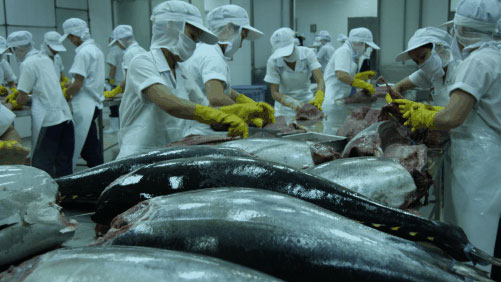 Tuna exports to Russia flourish