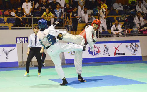 son la delegation ranks top at hanoi open taekwondo 2016 tour