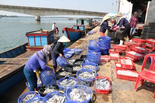 appointing four lenders for seafood purchase and reserve