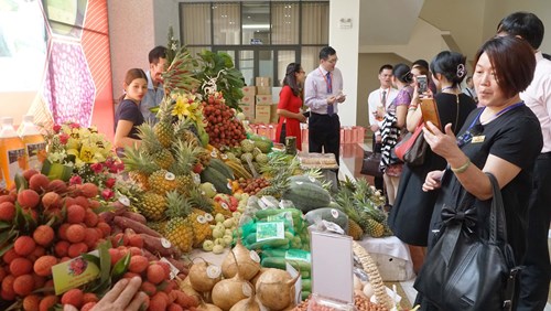 vietnam china promise optimal conditions for lychee export