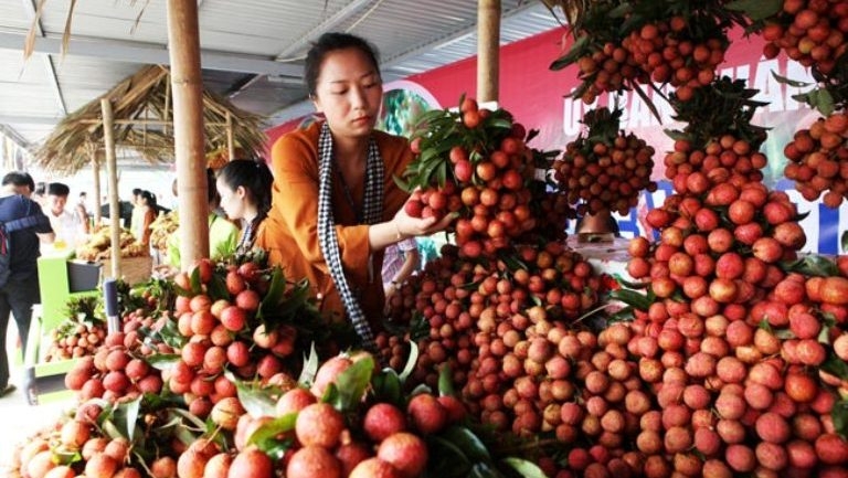 luc ngan bac giang lychee week kicks off in hanoi
