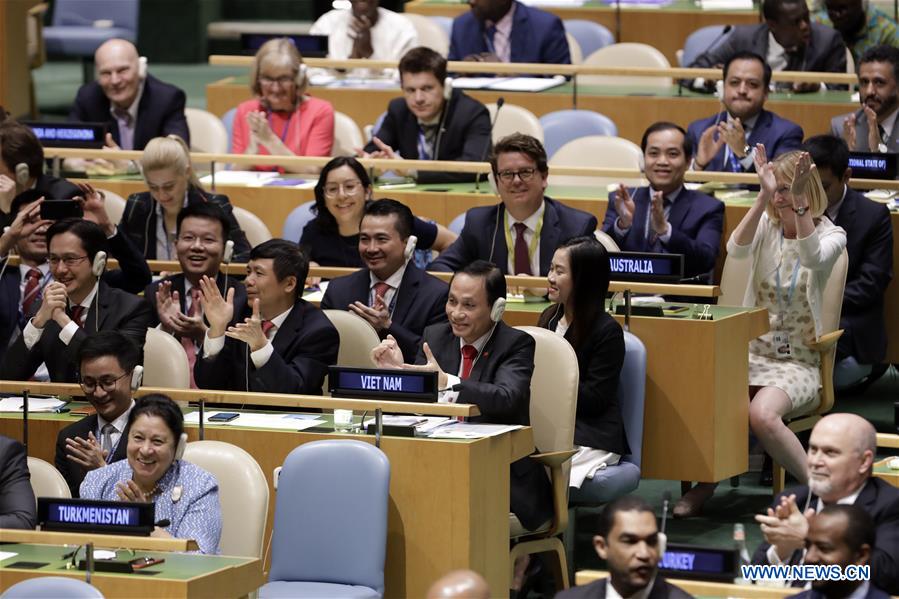 Vietnam makes int'l headlines as new UN Security Council member